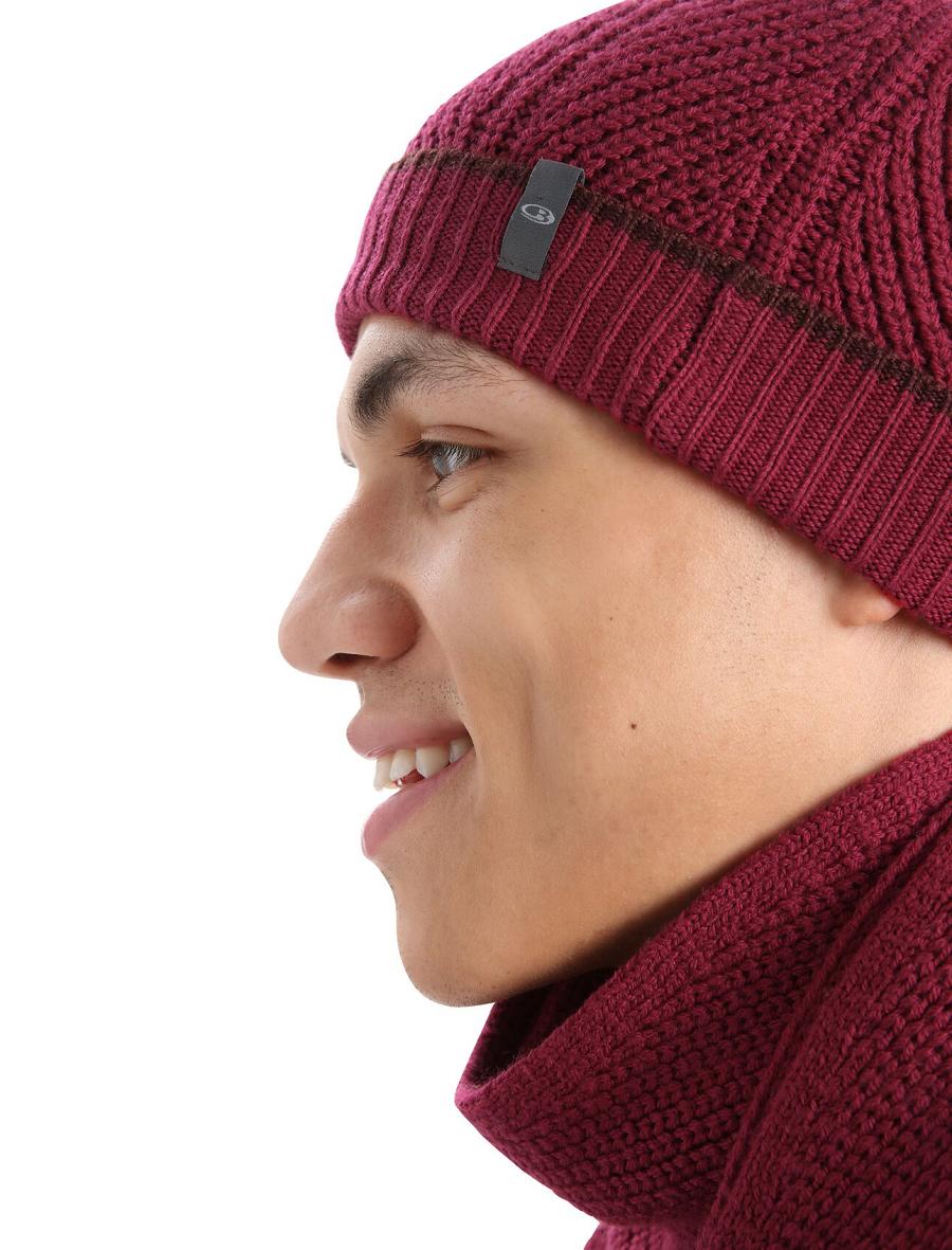 Chapeaux Icebreaker Unisex Merino Waypoint Beanie Homme Rose | FR 1092HAPK